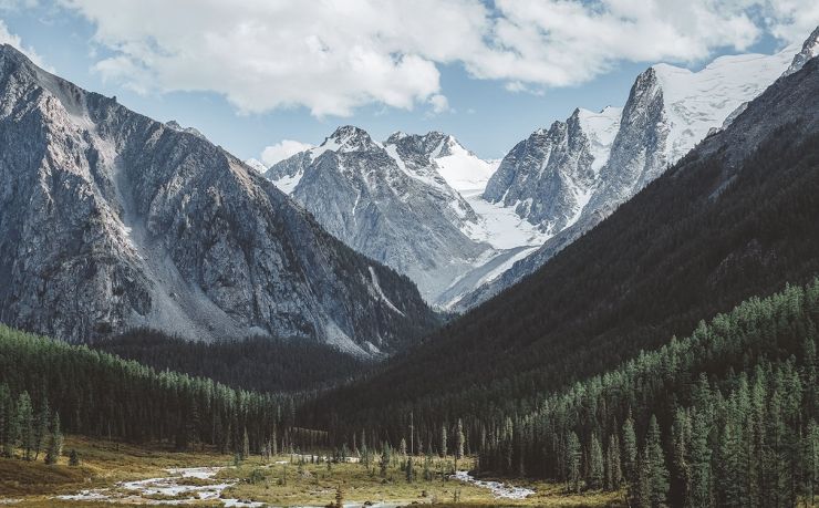 马耳他移民咨询中介